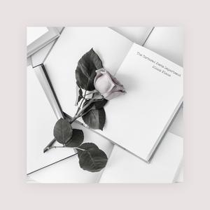 欧美高清一区三区在线专区
